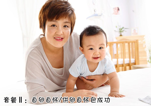 套餐Ⅱ：自怀包成功