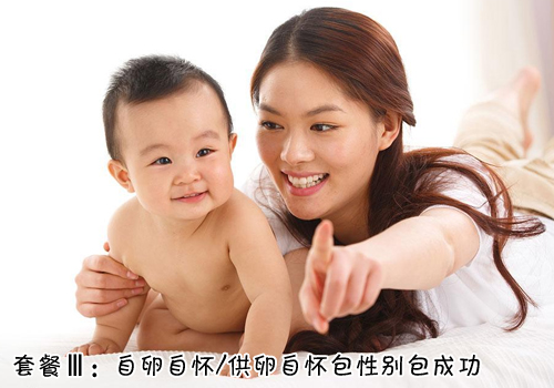 套餐Ⅲ：自怀包性别包成功