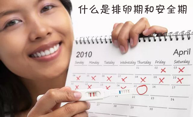 什么是排卵期和安全期