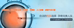 遇到这些情况，男性需要试管婴儿助孕